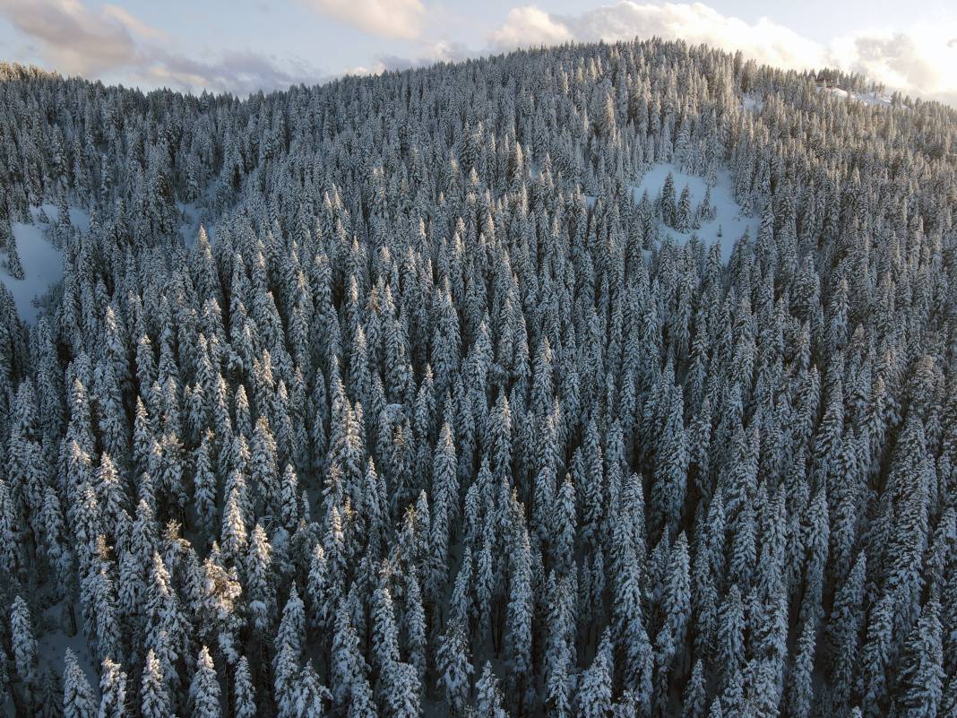 Ilgaz Dağı'nda kartpostallık görüntüler 3